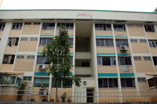 Blk 209 Petir Road (Bukit Panjang), HDB 5 Rooms #214282